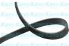 KAVO PARTS DMV-3510 V-Ribbed Belts